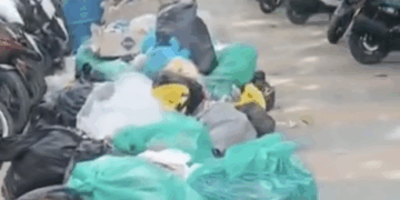 Queja ciudadana por basurero en la avenida Newball frente al muelle turístico de Cotton Cay, empresa de aseo Trash Busters demora en la recolección de residuos sólidos.